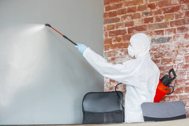 Best Asbestos and Lead Testing During Mold Inspection  in Camp Barrett, VA