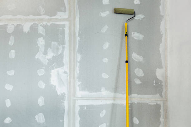 Best Environmental Consulting for Mold Prevention  in Camp Barrett, VA